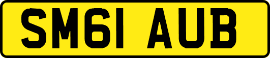 SM61AUB