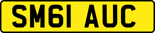 SM61AUC