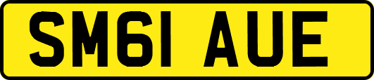 SM61AUE