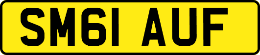 SM61AUF