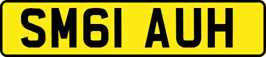 SM61AUH