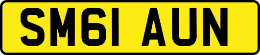 SM61AUN