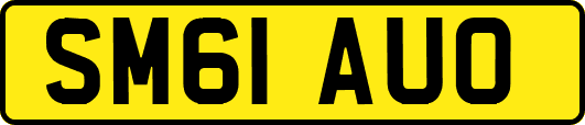 SM61AUO