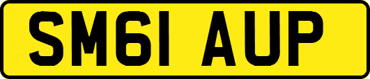SM61AUP