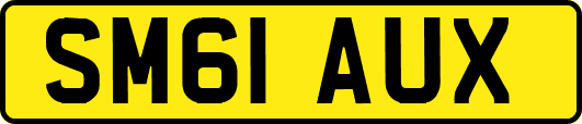 SM61AUX