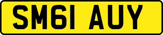 SM61AUY
