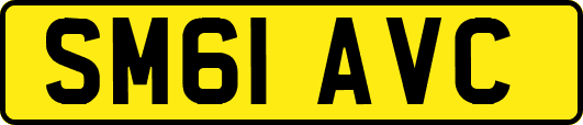 SM61AVC