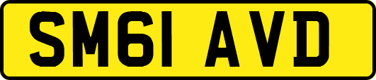 SM61AVD
