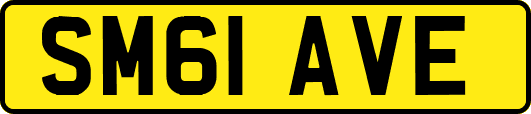 SM61AVE