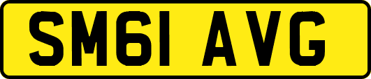 SM61AVG