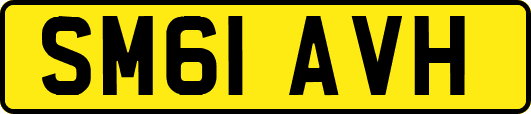 SM61AVH