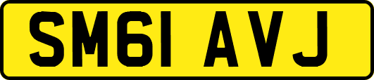 SM61AVJ