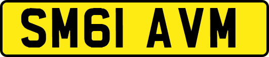 SM61AVM