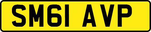 SM61AVP
