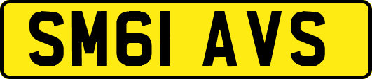 SM61AVS