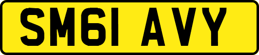 SM61AVY