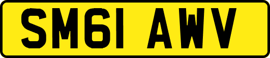 SM61AWV