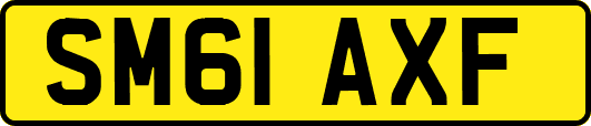 SM61AXF