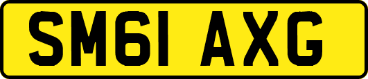SM61AXG