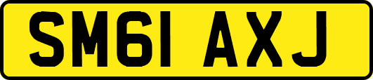 SM61AXJ