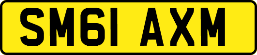 SM61AXM