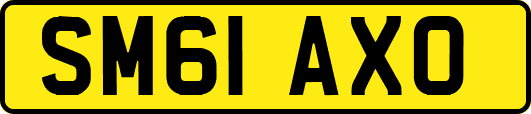 SM61AXO