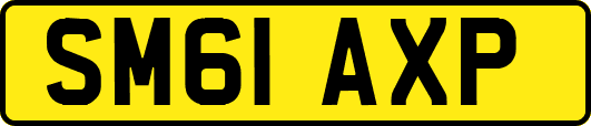 SM61AXP