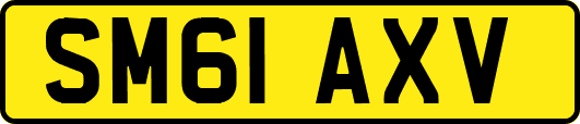 SM61AXV