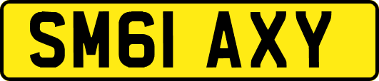 SM61AXY