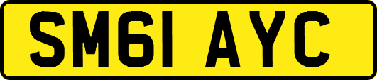 SM61AYC