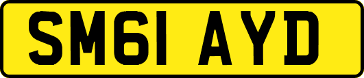 SM61AYD