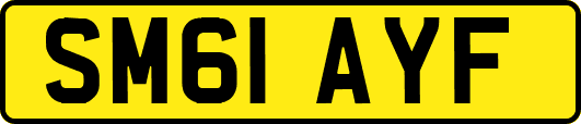 SM61AYF