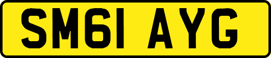 SM61AYG