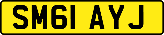 SM61AYJ