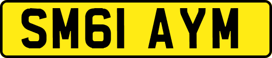 SM61AYM