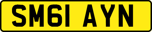 SM61AYN