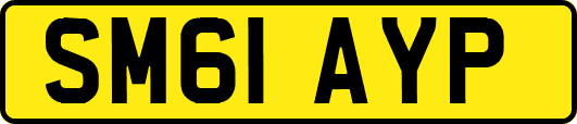 SM61AYP