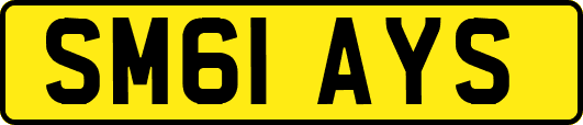 SM61AYS