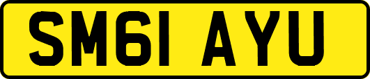 SM61AYU