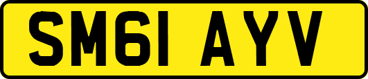 SM61AYV