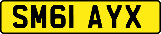 SM61AYX