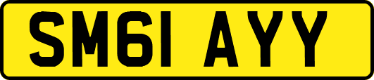 SM61AYY