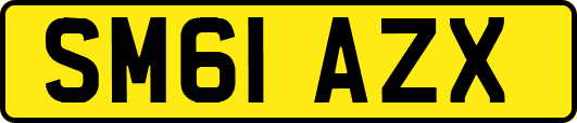 SM61AZX