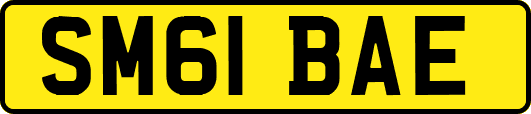 SM61BAE