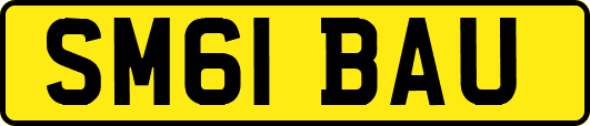 SM61BAU
