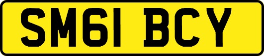 SM61BCY
