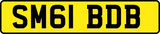 SM61BDB
