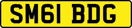 SM61BDG