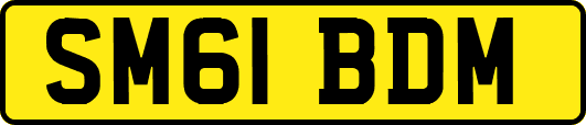 SM61BDM