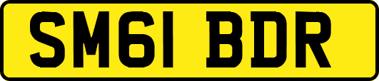 SM61BDR